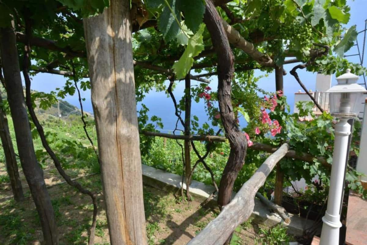 Tenuta La Picola Furore Exteriör bild